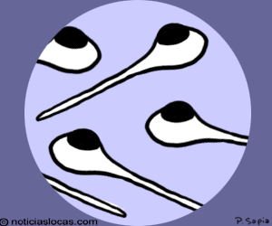 insolitas insolitas